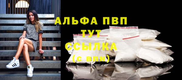прущие грибы Медвежьегорск