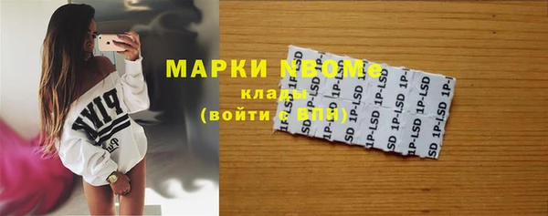 прущие грибы Медвежьегорск