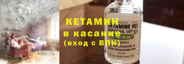 прущие грибы Медвежьегорск