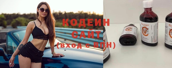 прущие грибы Медвежьегорск