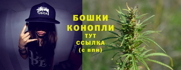 эйфоретик Магас