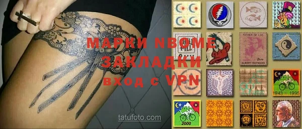 прущие грибы Медвежьегорск