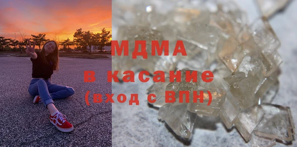 прущие грибы Медвежьегорск