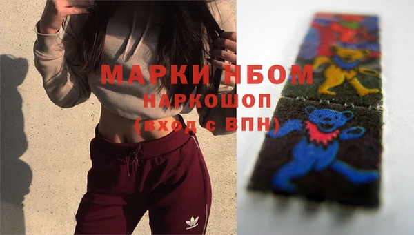 соль ск Медногорск