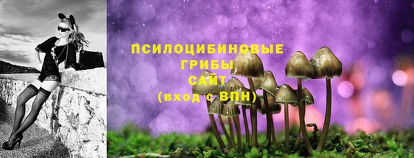 дживик Зерноград