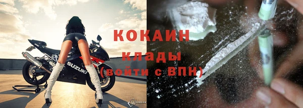прущие грибы Медвежьегорск