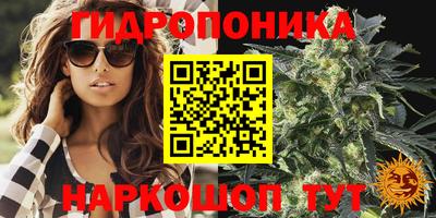 ешки Гатчина
