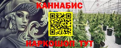 ешки Гатчина