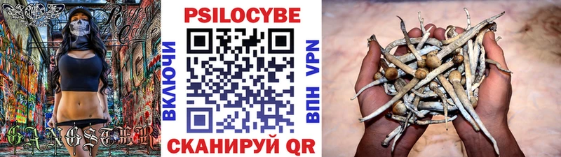 где продают наркотики  Дзержинск  Галлюциногенные грибы Magic Shrooms 