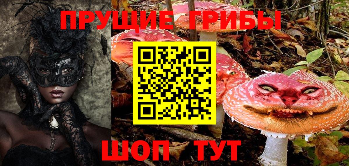 Псилоцибиновые грибы Psilocybine cubensis  Дзержинск  Псилоцибиновые грибы Magic Shrooms 