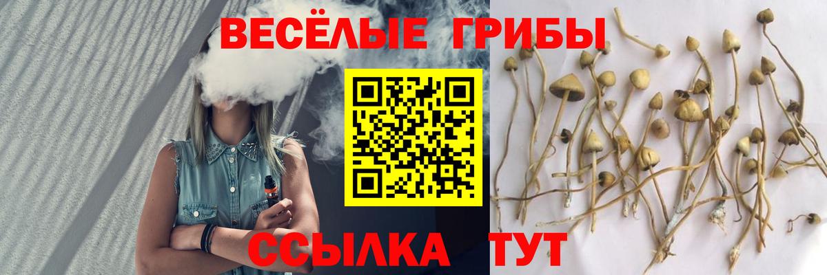 Псилоцибиновые грибы GOLDEN TEACHER Дзержинск