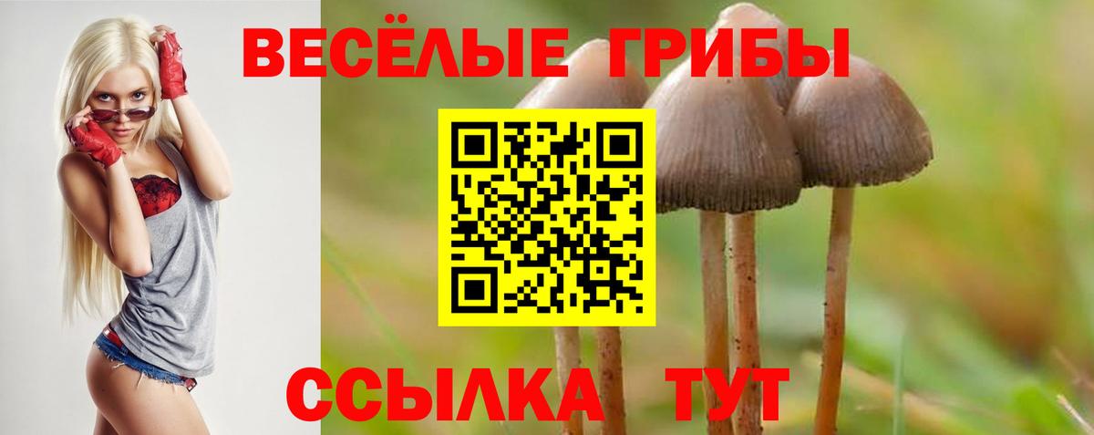 Псилоцибиновые грибы Psilocybine cubensis  Вход с VPN  Дзержинск 